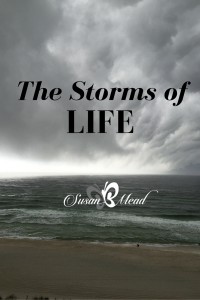the storms of life susanbmead.com