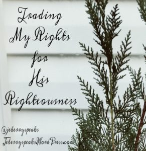 Green branches against white siding | Trading My Rights for His Righteousness